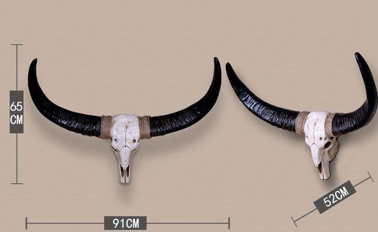 Crâne de Vache Neyata – Image 5