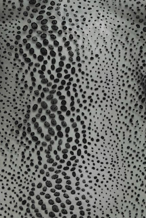 TOP TRANSPARENT ICHI – Image 3