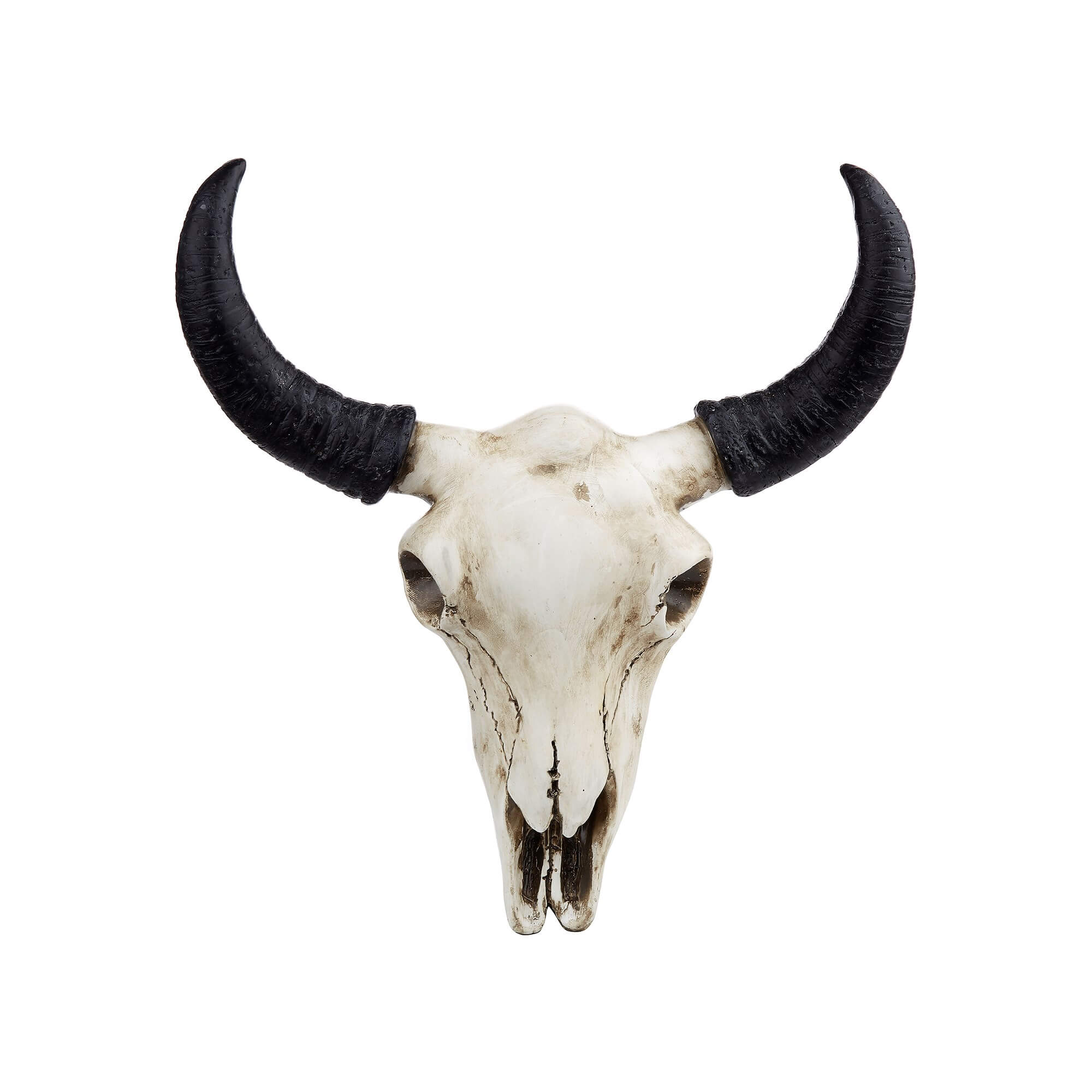 Buffalo wall skull – Image 2