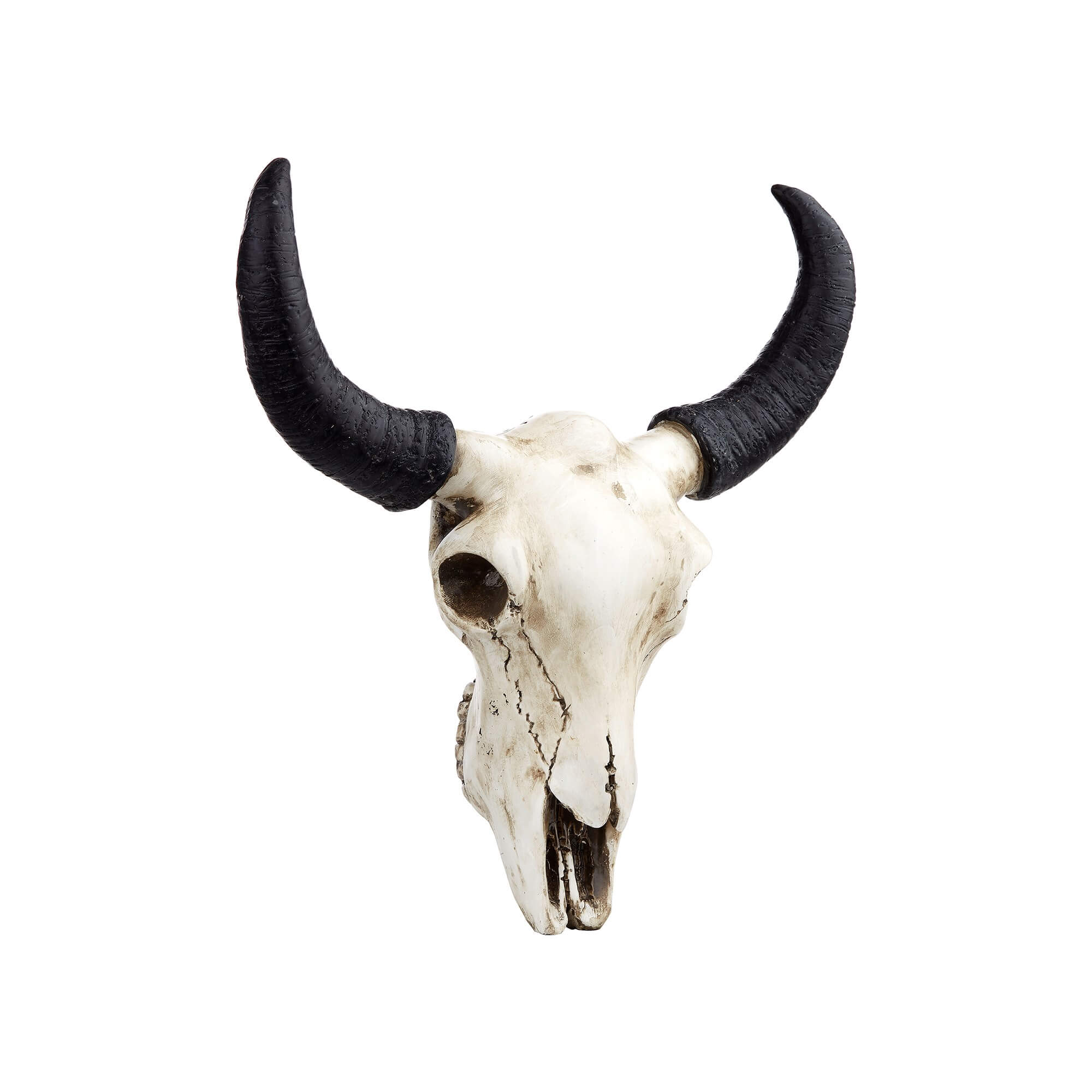 Buffalo wall skull – Image 4