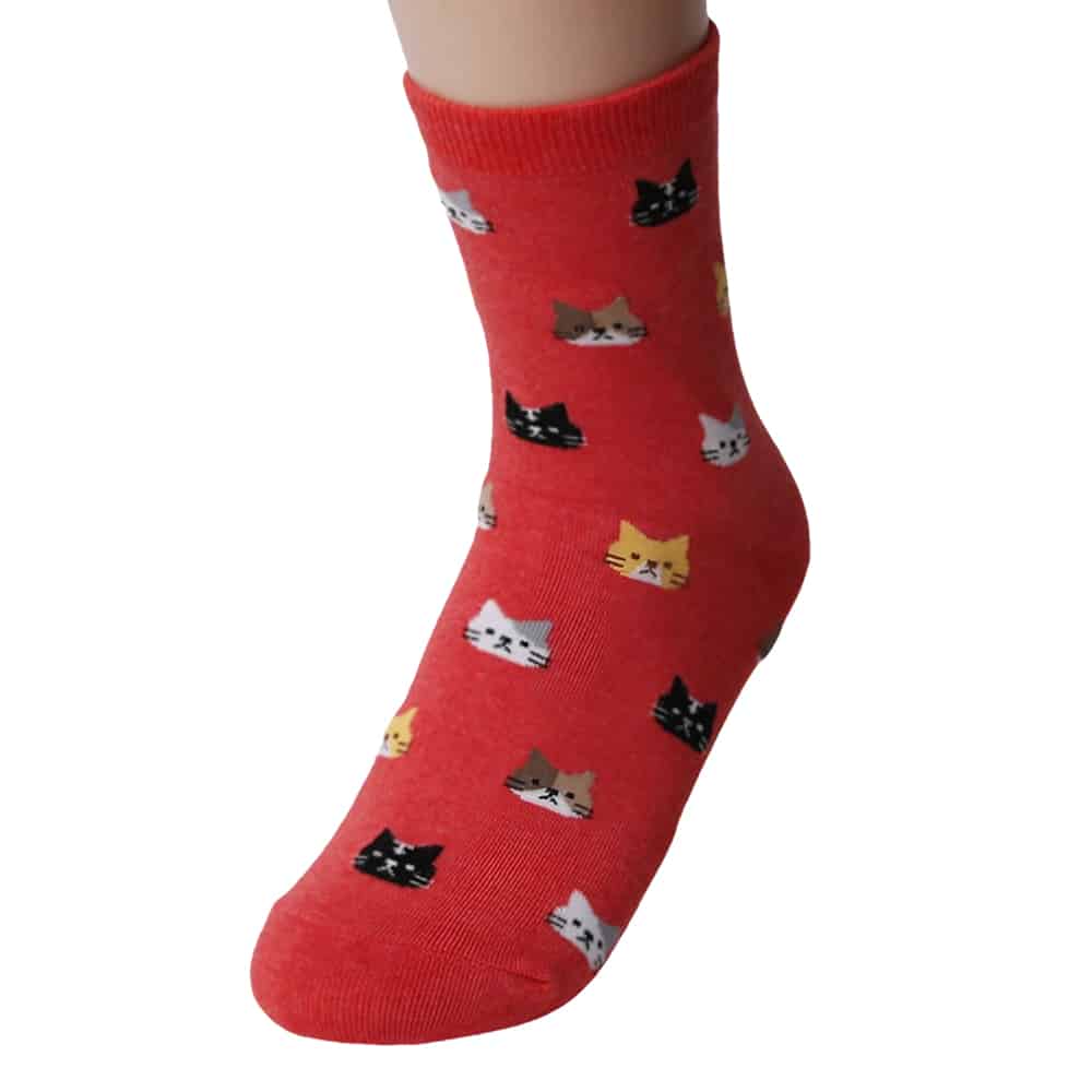 Chaussette Chat – ADONIS – Image 4