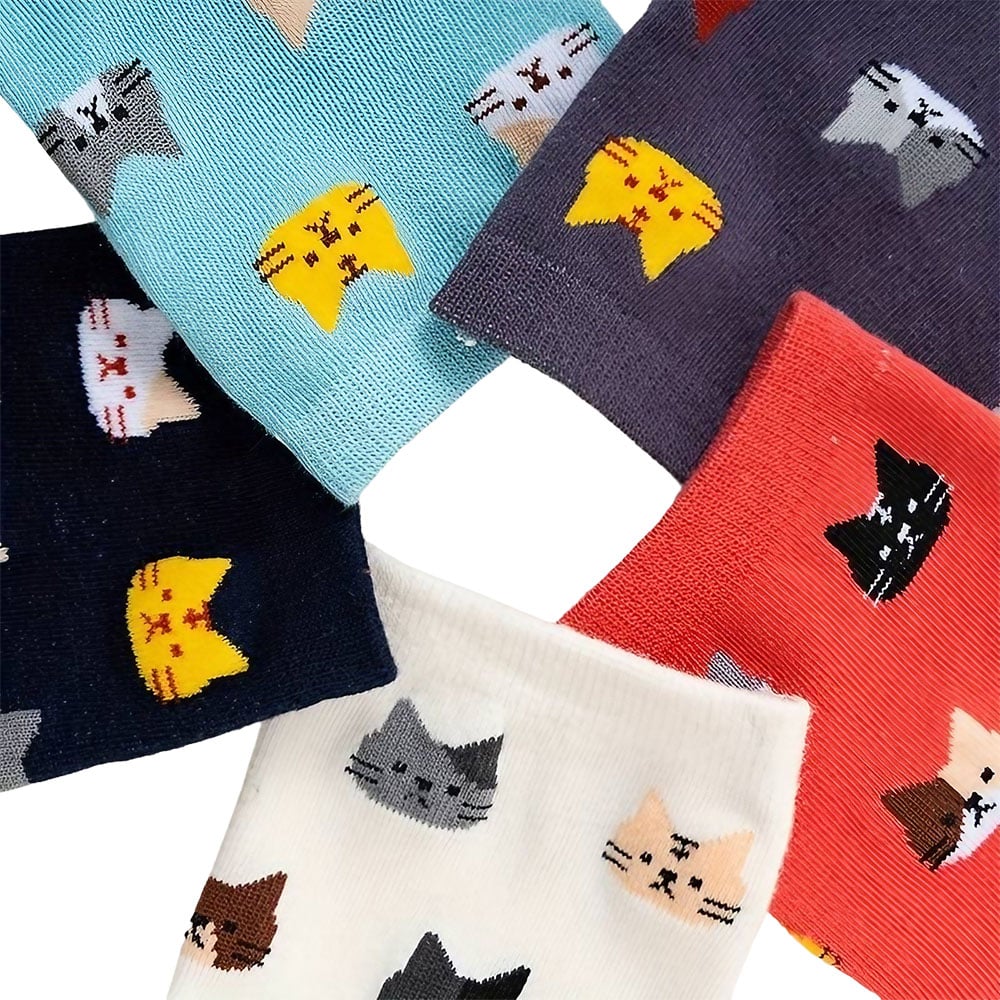 Chaussette Chat – ADONIS – Image 3