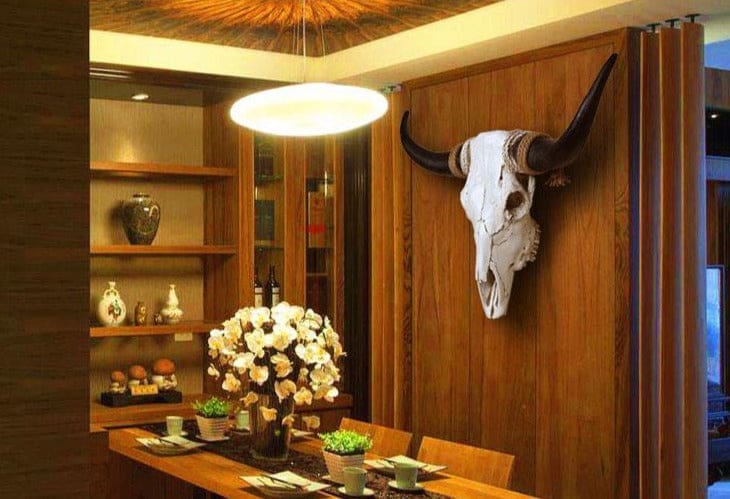 Crâne de Vache Biscorne – Image 3