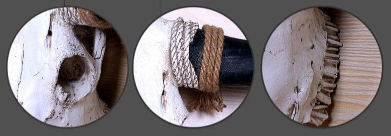 Crâne de Vache Biscorne – Image 4