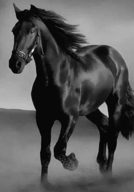 Tableau Indien Cheval – Image 2